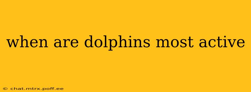 when are dolphins most active