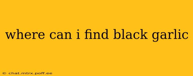 where can i find black garlic