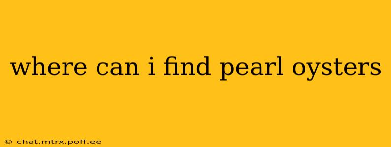 where can i find pearl oysters