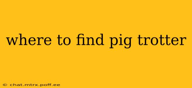 where to find pig trotter