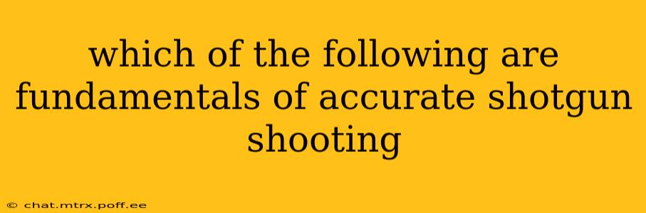 which of the following are fundamentals of accurate shotgun shooting