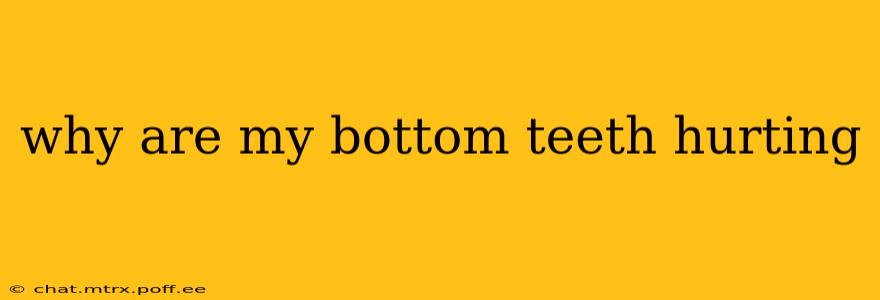 why are my bottom teeth hurting
