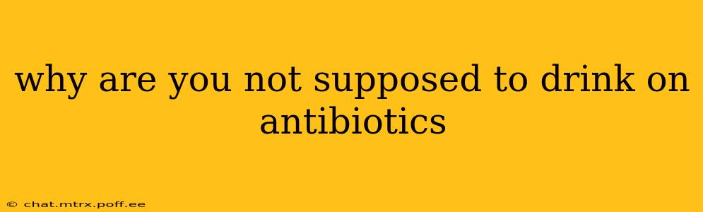 why are you not supposed to drink on antibiotics