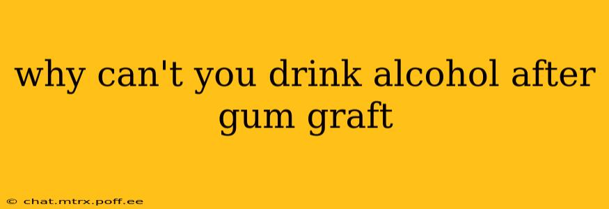 why can't you drink alcohol after gum graft