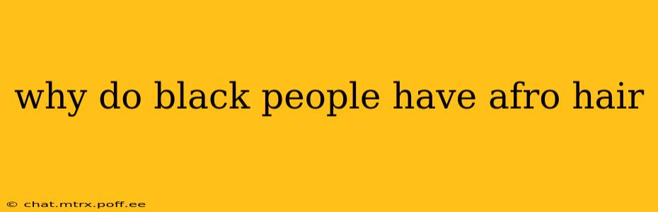 why do black people have afro hair
