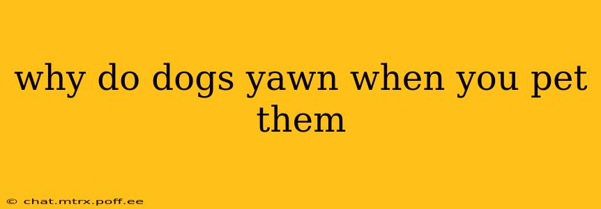 why do dogs yawn when you pet them