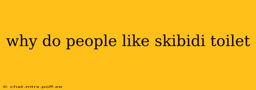 why do people like skibidi toilet
