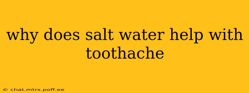 why does salt water help with toothache