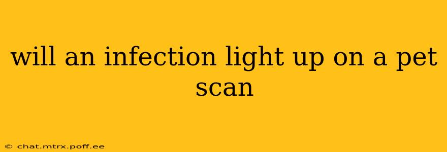 will an infection light up on a pet scan