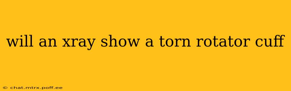 will an xray show a torn rotator cuff