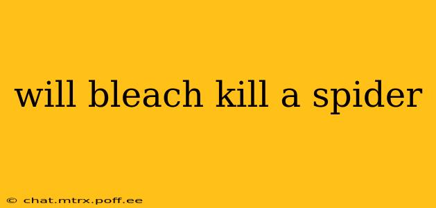 will bleach kill a spider