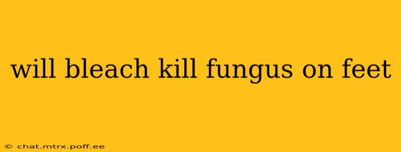 will bleach kill fungus on feet