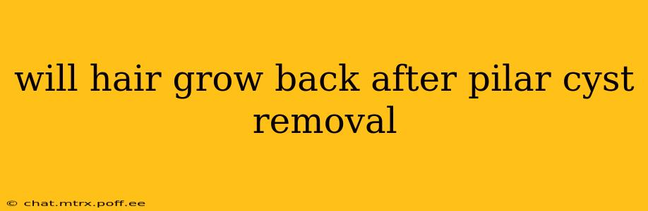 will hair grow back after pilar cyst removal