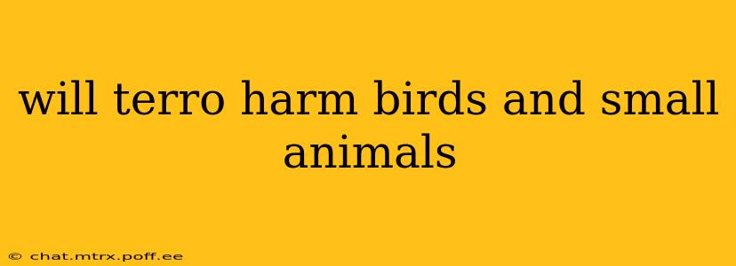 will terro harm birds and small animals