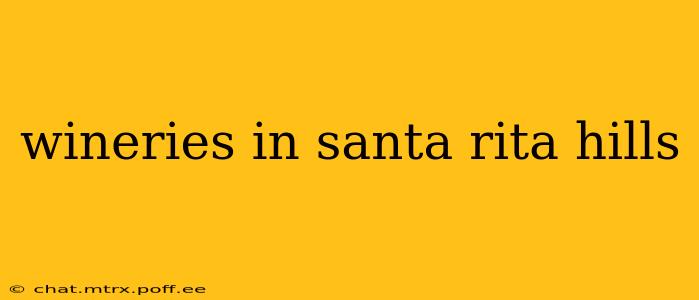 wineries in santa rita hills