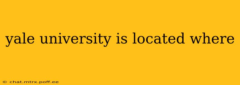 yale university is located where