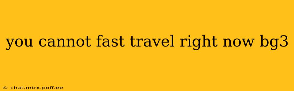 you cannot fast travel right now bg3