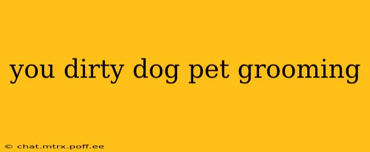 you dirty dog pet grooming